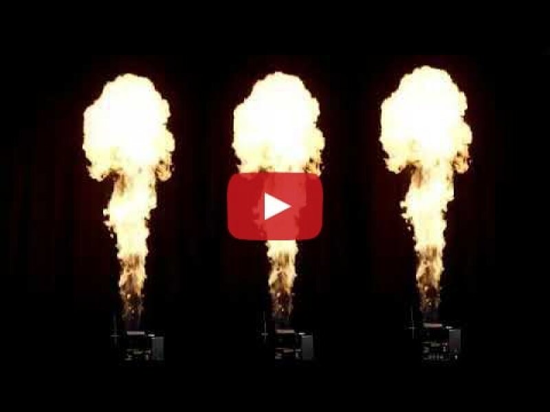 Wireless Salamander Quad Pro di Le Maître